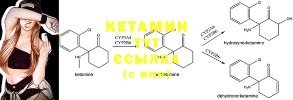 шишки Абинск