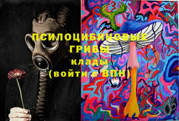 шишки Абинск